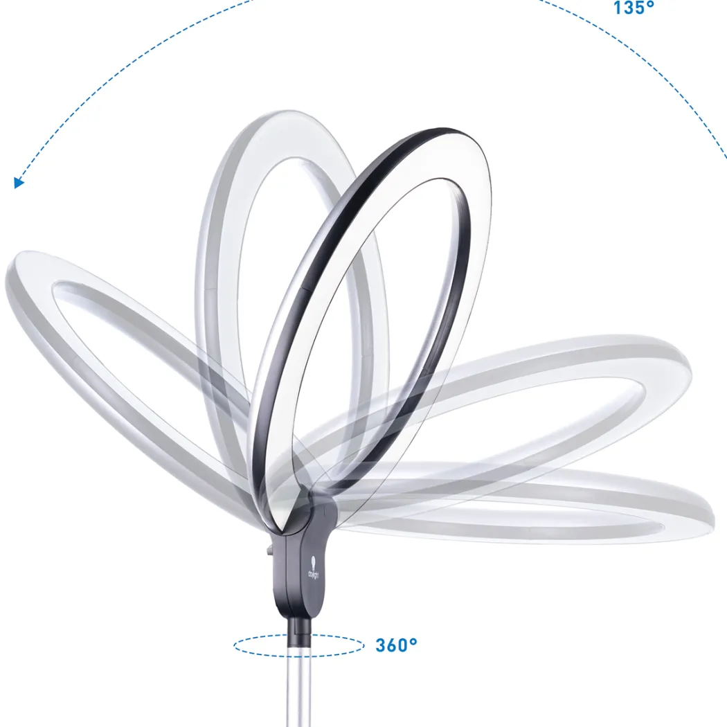 Aura Ring Floor Lamp