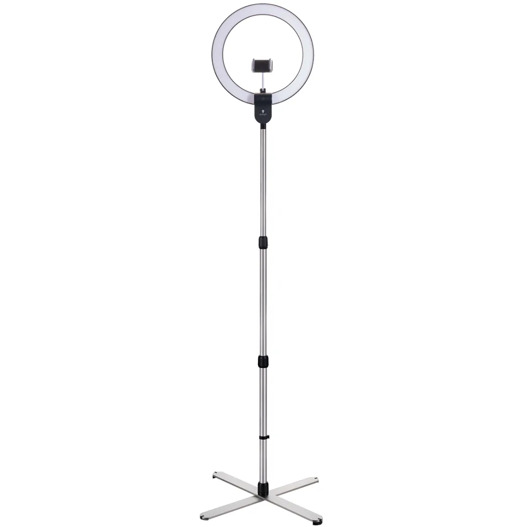 Aura Ring Floor Lamp