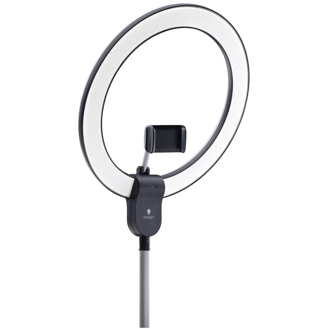 Aura Ring Floor Lamp
