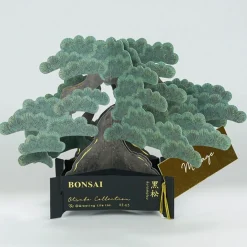 Bonsai popup-kort (Japanese black pine)