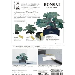 Bonsai popup-kort (Japanese black pine)