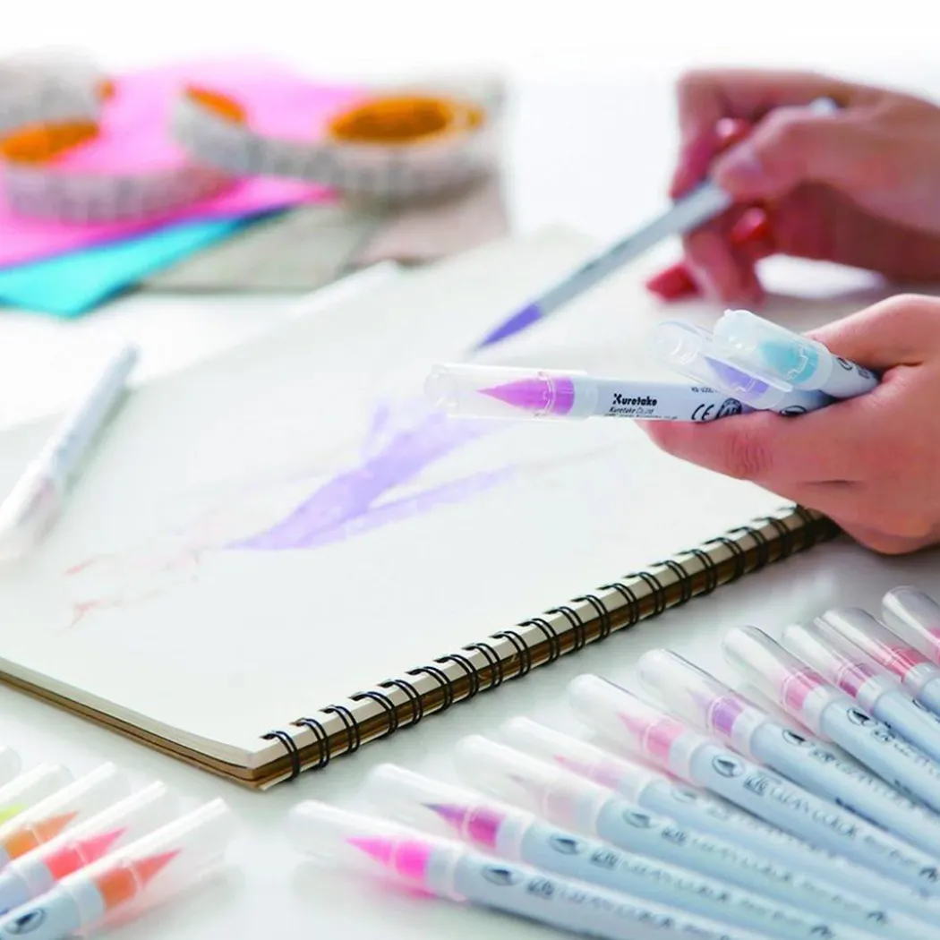 Clean Color Real Brush 12-set