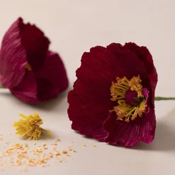 DIY-kit Pappersblommor Vallmo