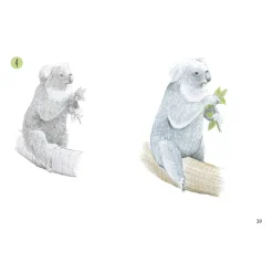 Draw 30: Animals