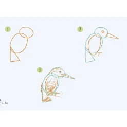 Draw 30: Animals