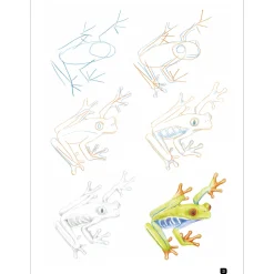 Draw 100: Animals