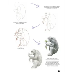 Draw 100: Animals