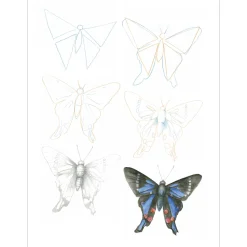 Draw 100: Animals