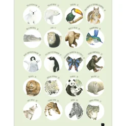 Draw 100: Animals