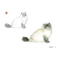 Draw 30: Cats