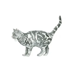 Draw 30: Cats