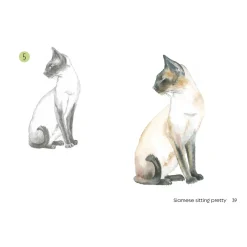 Draw 30: Cats