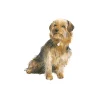 Draw 30: Dogs