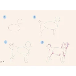 Draw 30: Dogs