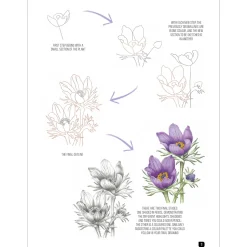 Draw 100: Flowers