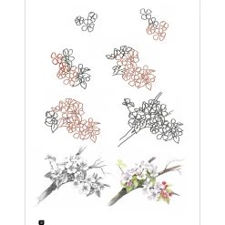 Draw 100: Flowers