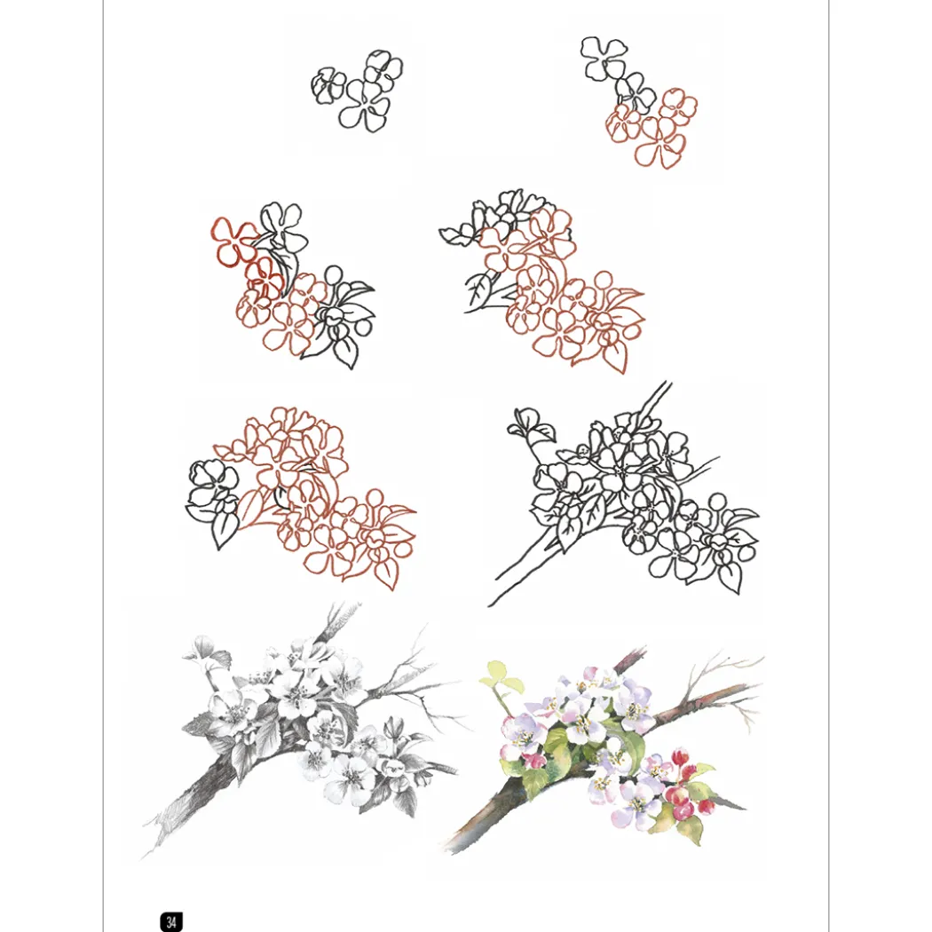 Draw 100: Flowers