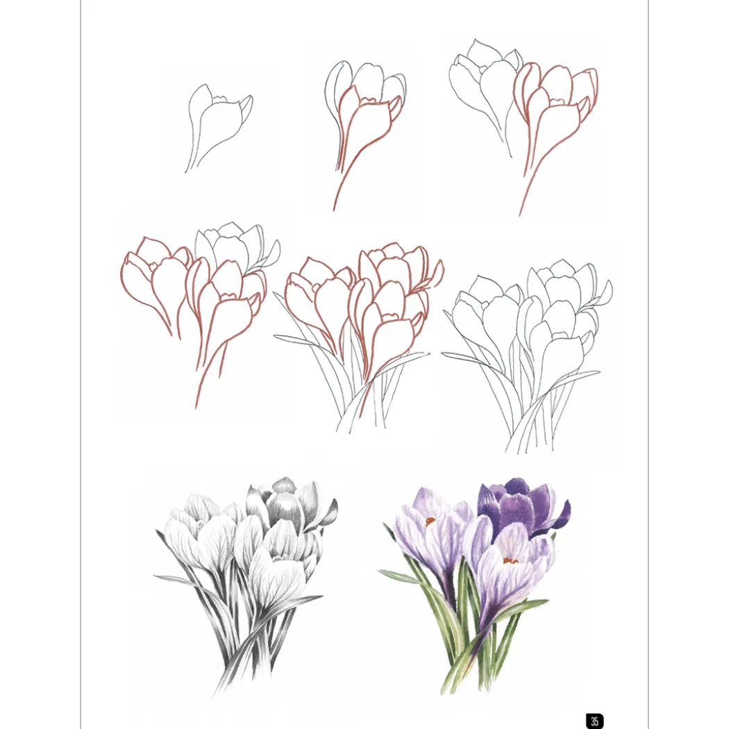 Draw 100: Flowers
