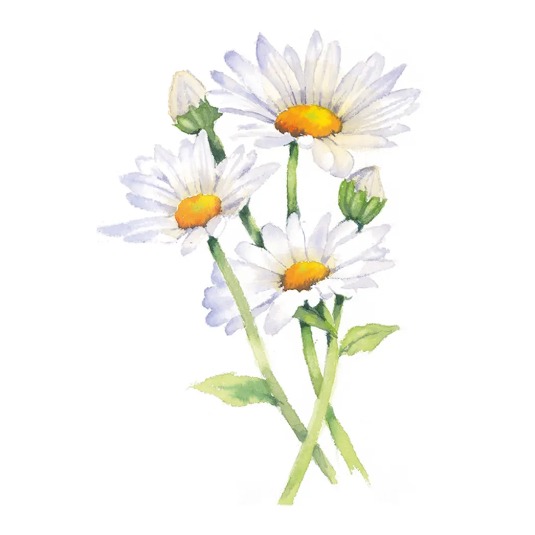 Draw 30: Flowers