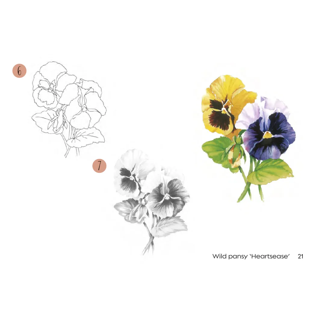 Draw 30: Flowers