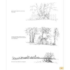 Drawing Landscapes