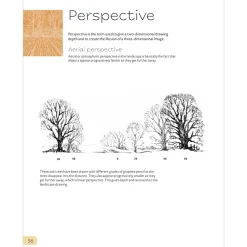 Drawing Landscapes