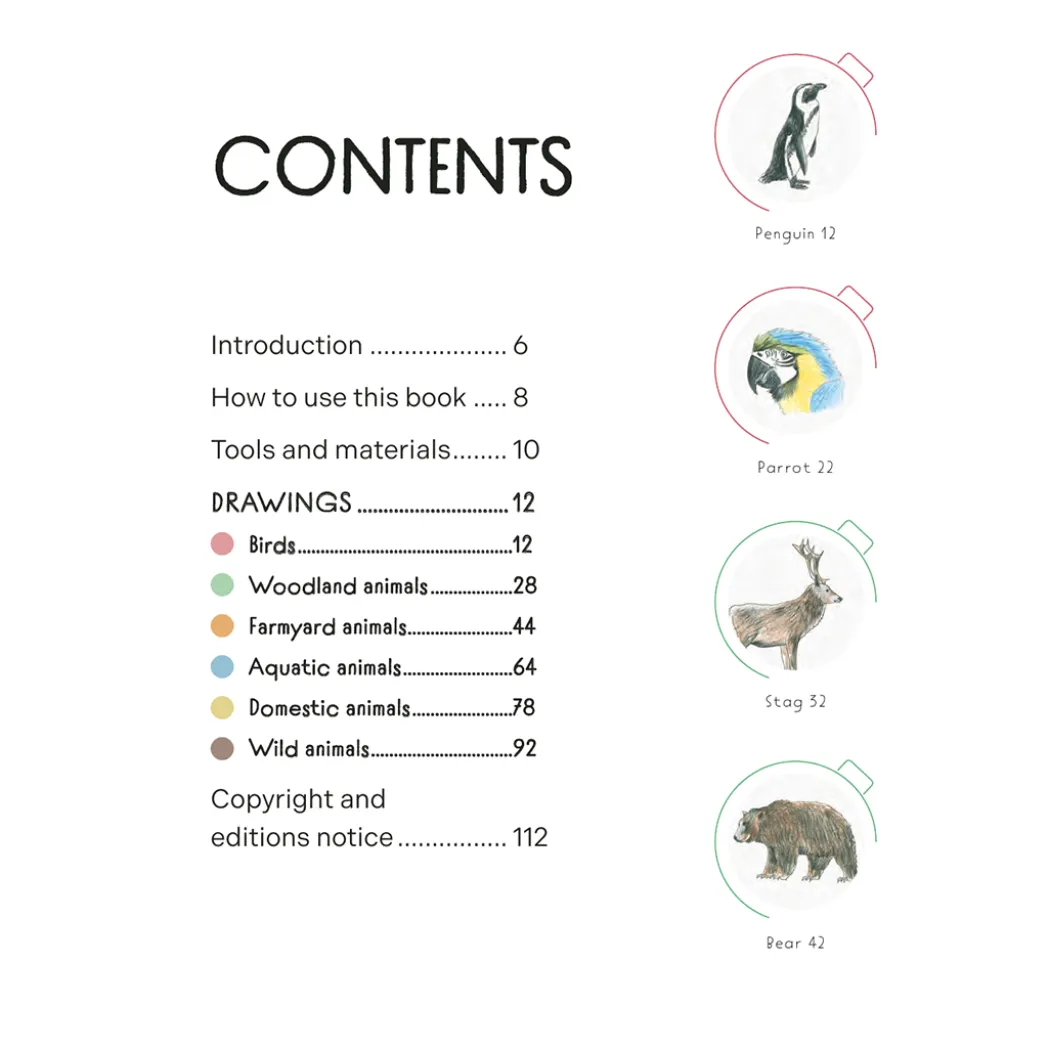 Draw in 10 Minutes: Animals