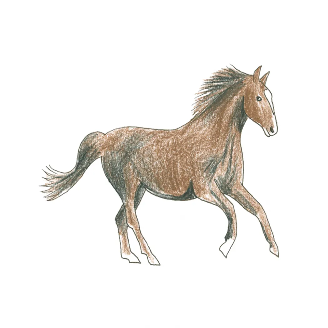 Draw in 10 Minutes: Animals