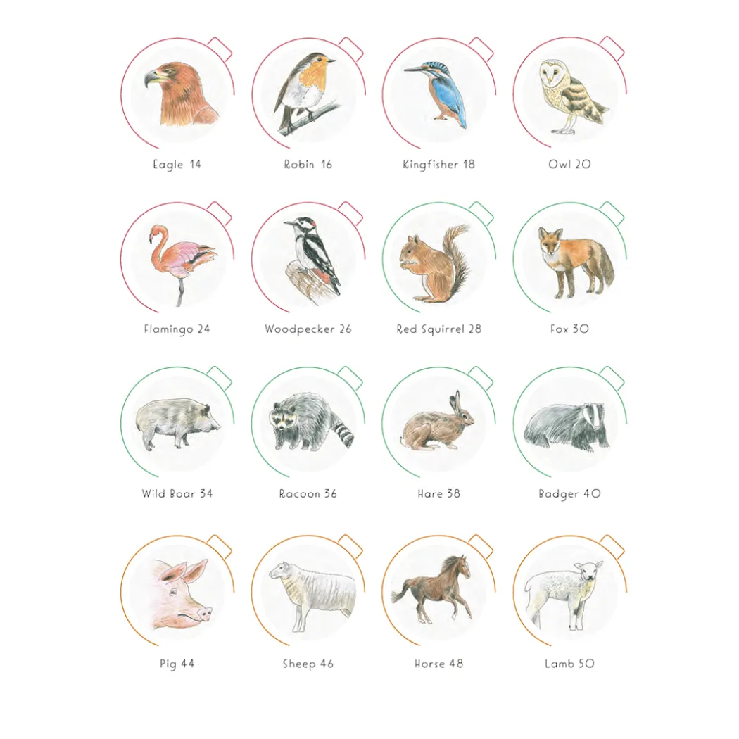Draw in 10 Minutes: Animals