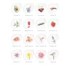 Draw in 10 Minutes: Botanicals