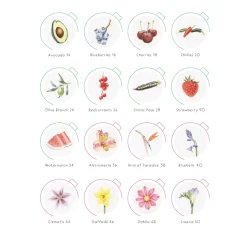 Draw in 10 Minutes: Botanicals