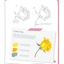 Draw in 10 Minutes: Botanicals