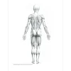 Figure Drawing: A Complete Guide