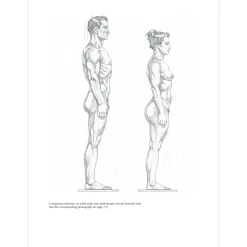 Figure Drawing: A Complete Guide