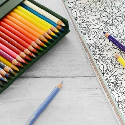 Färgpennor Polychromos 36-set Studio