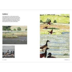 How to Draw a River: from the Source to the Sea