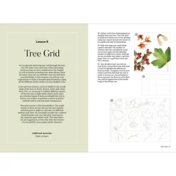 How to Draw a Tree: from the Fruit to the Forest