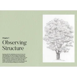 How to Draw a Tree: from the Fruit to the Forest