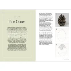 How to Draw a Tree: from the Fruit to the Forest