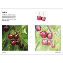 How to Draw a Tree: from the Fruit to the Forest