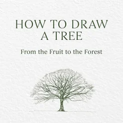 How to Draw a Tree: from the Fruit to the Forest