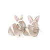 How to Draw: Baby Animals