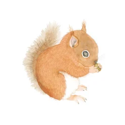 How to Draw: Baby Animals