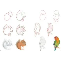 How to Draw: Baby Animals