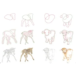 How to Draw: Baby Animals
