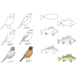 How to Draw: Nature