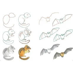 How to Draw: Nature