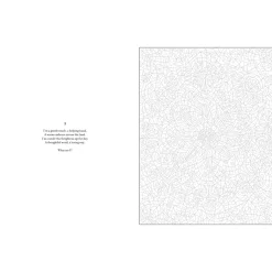 Mystery Coloring Mandalas