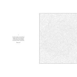 Mystery Coloring Mandalas