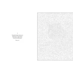 Mystery Coloring Wild Animals